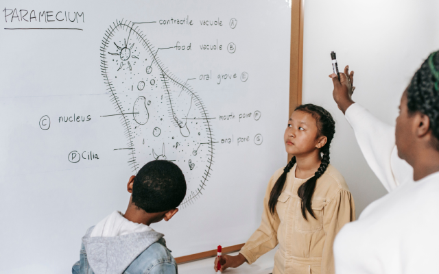 10 Alasan Pentingnya Belajar Bahasa Inggris dalam Dunia Pendidikan