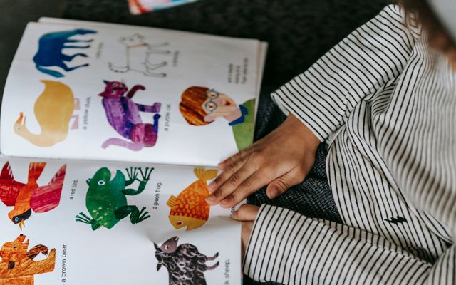 50+ Nama-nama Hewan dalam Bahasa Mandarin dan Artinya