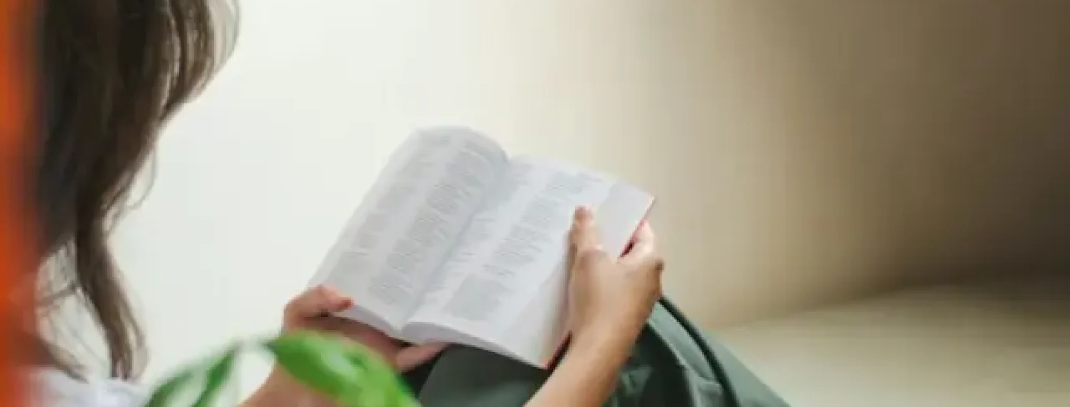 Perbedaan Personification dan Anthropomorphism dalam Bahasa Inggris