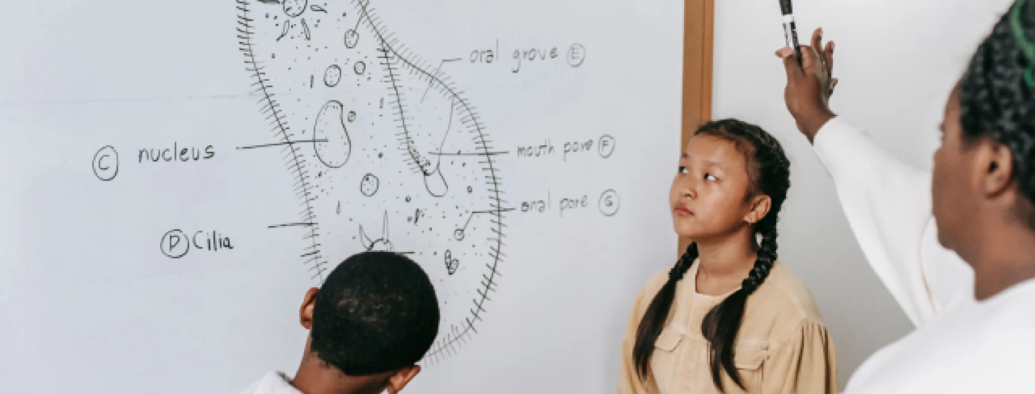 10 Alasan Pentingnya Belajar Bahasa Inggris dalam Dunia Pendidikan