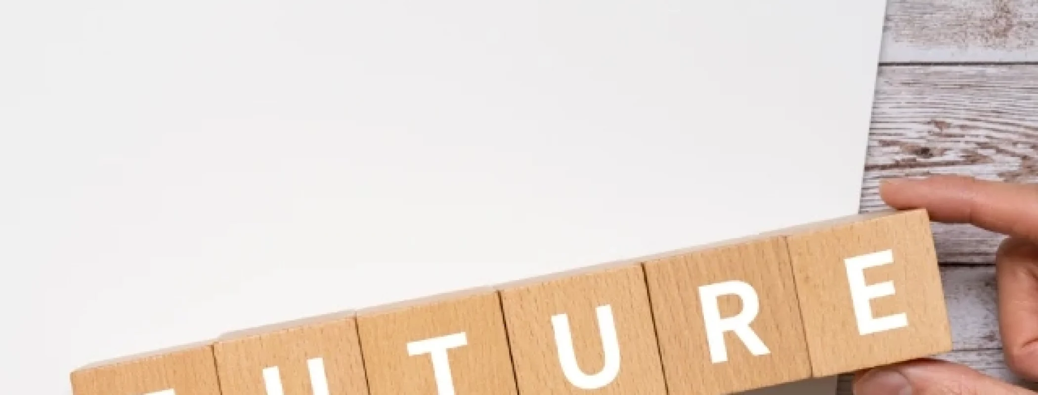 pola kalimat simple future tense